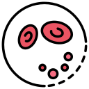 Thrombosis 