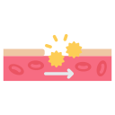 hemostasia icon