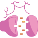 neurotransmisor icon