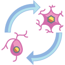 neurogénico 