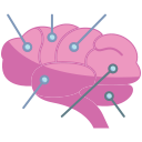 cortical icon