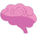 neuroinflamación icon