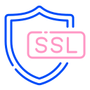 ssl icon