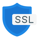 ssl icon