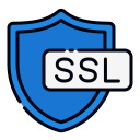 ssl icon