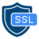 ssl icon