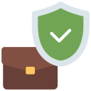 seguridad icon