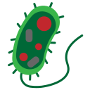 bacteria icon