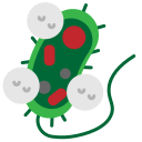 bacteria icon