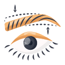 blefaroplastia icon