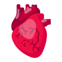 corazón icon