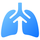 pulmones icon