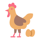 pollo icon