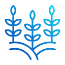 plantas icon