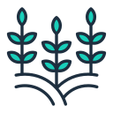 plantas icon