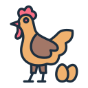 pollo icon