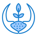 pflanzen 