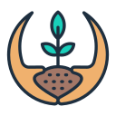 pflanzen 