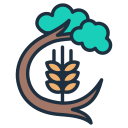 agroforestería icon