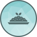 risotto 
