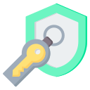 token de seguridad icon