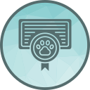 certificado icon