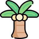 Palmera icon