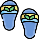 Chanclas icon