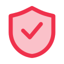 seguridad icon