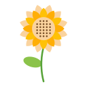 girasol icon