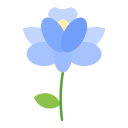 iris icon