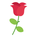 rosa icon