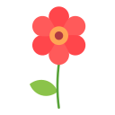 amapola icon