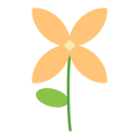 bouvardia icon