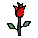 rosa icon