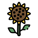 girasol icon