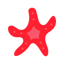 estrella de mar icon