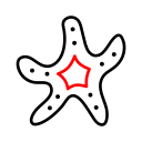 estrella de mar icon