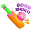 cricket 