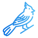 pájaro icon