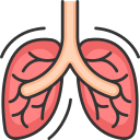 pulmones icon