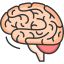 cerebro icon