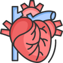 corazón icon