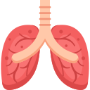 pulmones icon