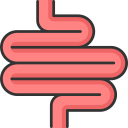 intestino delgado icon