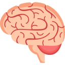 cerebro icon