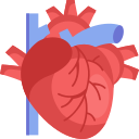 corazón icon