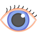 ojos icon