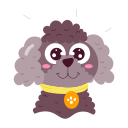 chiot 