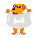 bannière 